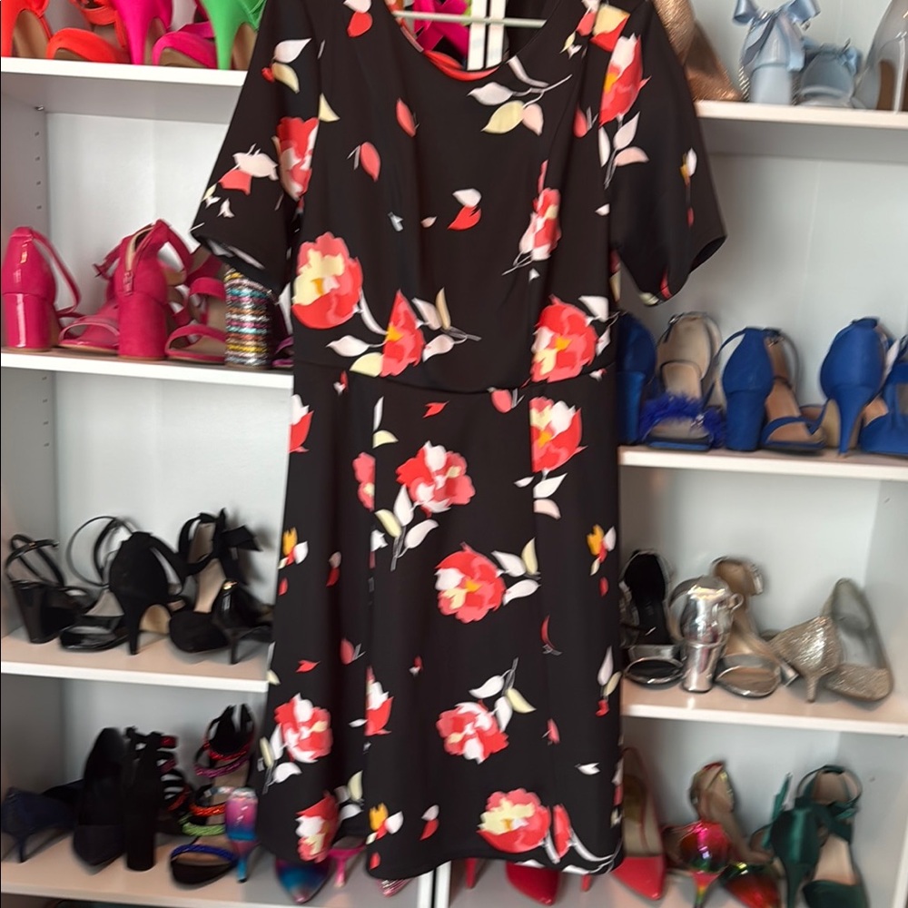 Lane Bryant Red and Black Fit and Flare Maxi Dress